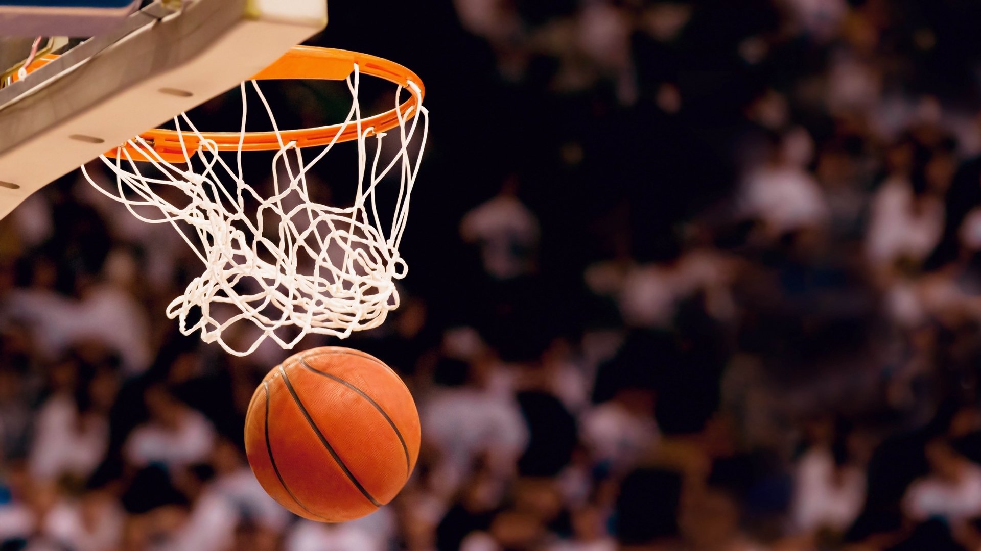 青春风暴撞上观赛新潮，德国队的后浪如何点燃球迷新热情